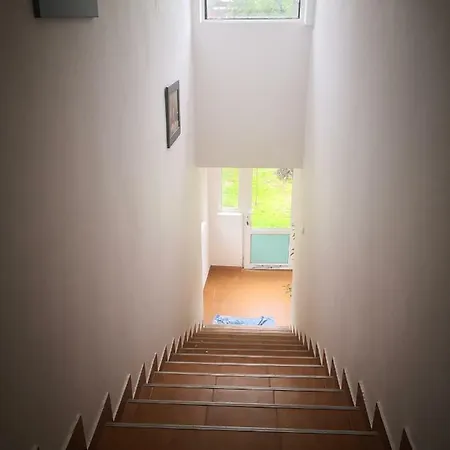 Apartment Lenusk 3