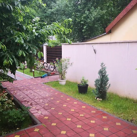 Lenusk 3 Bucharest